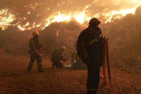 Stecken Brandstifter hinter den Feuern?