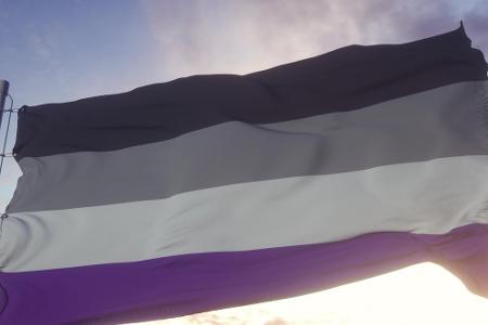 Assexuell-Flagge