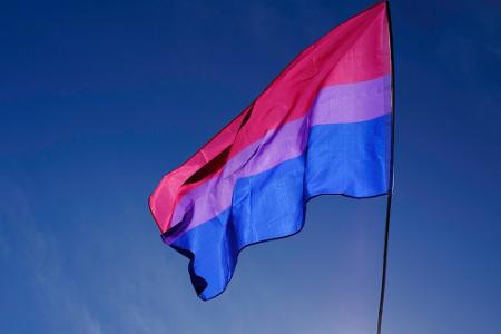 Bisexual-Flagge