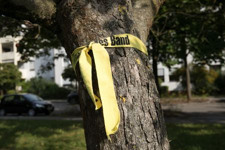 Baum mit einem gelben Band um den Stamm