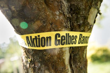 Ein gelbes Band ist um einen Baumstamm gewickelt Ein gelbes Band ist um einen Baumstamm gewickelt