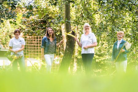 Vier Menschen stehen unter einem Baum mit gelbem Band