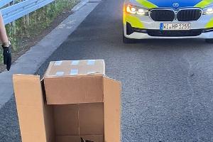Polizei rettet Uhu von der Autobahn