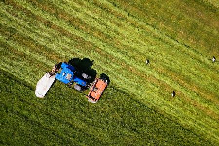 Die Bilder des Tages
