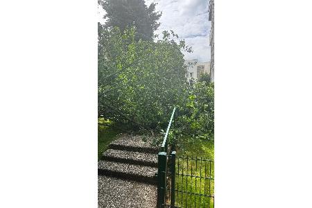 Baum versperrt Hauseingang Baum versperrt Hauseingang