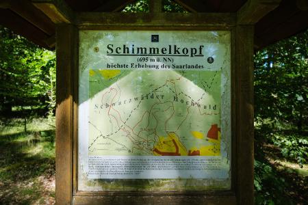 Jahrzehntelang war der Schimmelkopf die höchste natürliche Erhebung des Saarlandes. - bis 2005 neue, präzisere Messungen kamen. Jahrzehntelang war der Schimmelkopf die höchste natürliche Erhebung des Saarlandes. - bis 2005 neue, präzisere Messungen kamen.