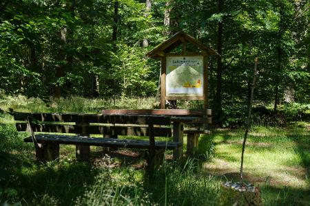 Der Schimmelkopf ist 694,8 Meter hoch, der Dollberg bei Nohfelden aber 695,4 Meter. Sechzig Zentimeter höher.