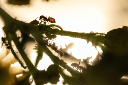 Die Bilder des Tages