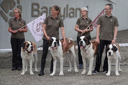 Die Sache mit den Fässchen am Hals der Bernhardiner - erfunden.