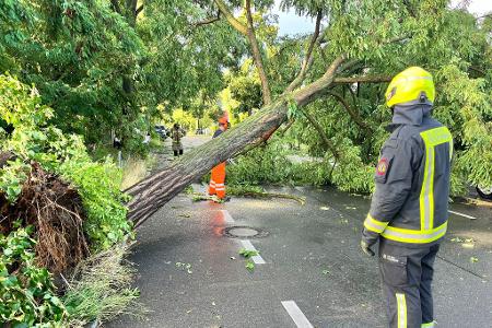 Am späten Nachmittag und Abend ziehen Unwetter über Teile Deutschlands.