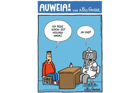 Alltäglicher Humor und Vögel