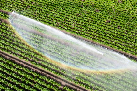 Wasser kann Luxus sein - wenn es knapp ist und für die Landwirtschaft gebraucht wird. (Illustration) Wasser kann Luxus sein - wenn es knapp ist und für die Landwirtschaft gebraucht wird. (Illustration)