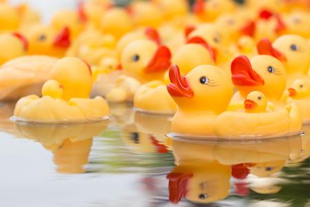 Ente gut, alles gut