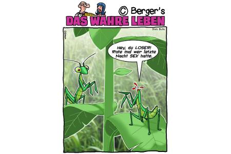 Cartoons mit wahren Lebensgeschichten