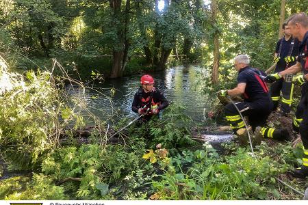 Feuerwehrleute im Auer Mühlbach und an Land beim schneiden der Bäume Feuerwehrleute im Auer Mühlbach und an Land beim schneiden der Bäume