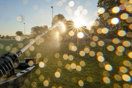 Sommerhitze: Rasensprenger schützt den Rasen früh am Tag