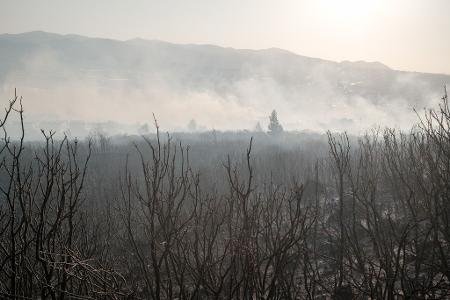 Nach Angaben des Landwirtschaftsministers seien vier Flugzeuge und 14 Hubschrauber zur Brandbekämpfung im Einsatz.