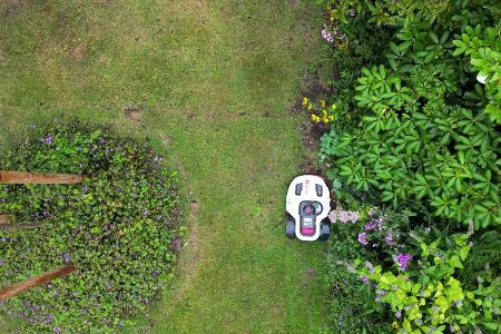 Naturschützer warnen davor, dass Mähroboter eine Gefahr sein können - vor allem für nachtaktive Tiere. (Symbolbild) Naturschützer warnen davor, dass Mähroboter eine Gefahr sein können - vor allem für nachtaktive Tiere. (Symbolbild)