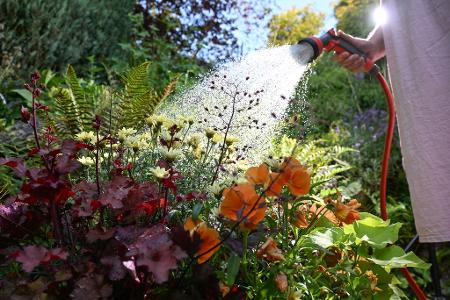 Die Bilder des Tages