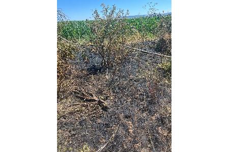 Brandfläche Bad Frankenhausen, Bildrechte: Landespolizeiinspektion Nordhausen Brandfläche Bad Frankenhausen, Bildrechte: Landespolizeiinspektion Nordhausen