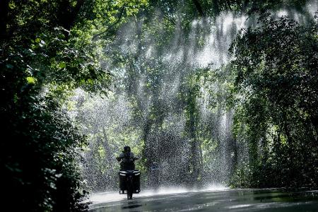 Die Bilder des Tages