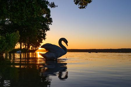 Die Bilder des Tages