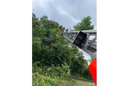 Foto: Feuerwehr Bergheim Foto: Feuerwehr Bergheim