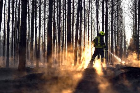 Die Feuerwehr ist beschäftigt mit Nachlöscharbeiten nach dem Waldbrand bei Sonnewalde.