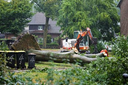 Die Unwetter ließen auch große Bäume umstürzen. 