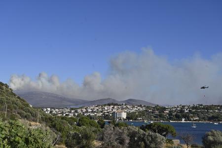 Das auf einem Acker ausgebrochene Feuer soll sich durch starken Wind auf umliegende Büsche und Wälder ausgebreitet haben.