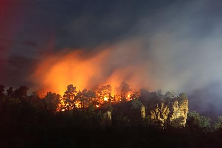 Eine Waldfläche am Lehof in Quedlinburg steht am Abend in Flammen.