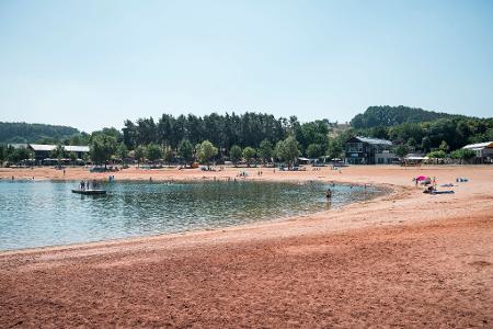 Erneut greift ein Wels einen Schwimmer in der Region an. (Symbolbild)