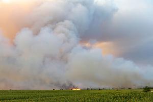 Feuer in Gohrischheide weiter nicht unter Kontrolle