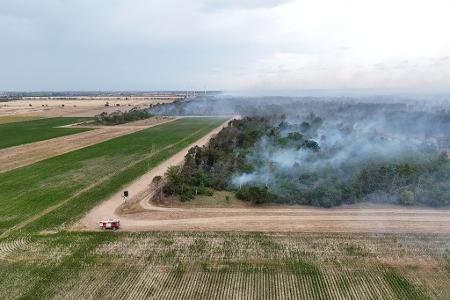 Wegen des Waldbrands in der Gohrischheide wurde Katastrophenalarm ausgelöst.