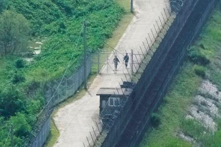 Am Donnerstagabend ist es einem nordkoreanischen Mann gelungen, die hochgerüstete Grenze zu Südkorea zu überqueren. (Archivfoto) Am Donnerstagabend ist es einem nordkoreanischen Mann gelungen, die hochgerüstete Grenze zu Südkorea zu überqueren. (Archivfoto)