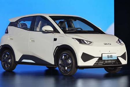 BYD Seagull als Free Edition