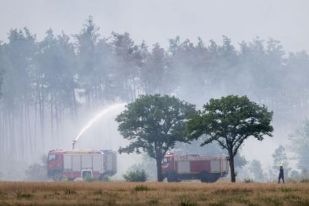 Löschfahrzeuge der Feuerwehr sind in Sachsen in der Gohrischheide im Einsatz. 