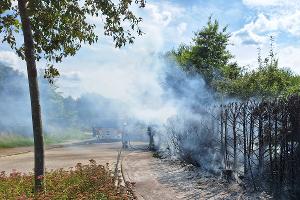 Heckenbrand in Mussum