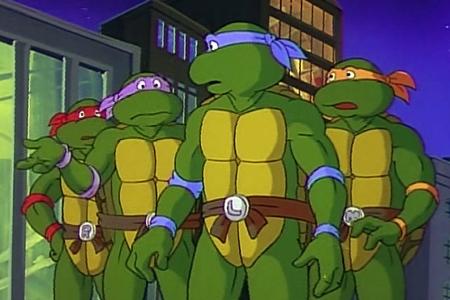 Teenage Mutant Hero Turtles