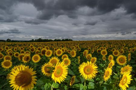 Die Bilder des Tages