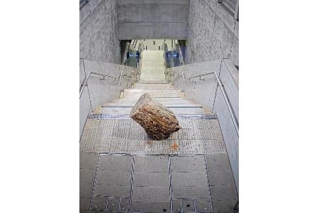 1 Meter langer Baumstamm im Leipziger S-Bahnhaltepunkt 1 Meter langer Baumstamm im Leipziger S-Bahnhaltepunkt