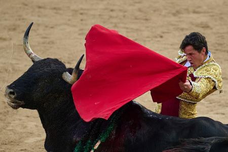 Die Stierläufe finden in Pamplona morgens, die Kämpfe abends statt.