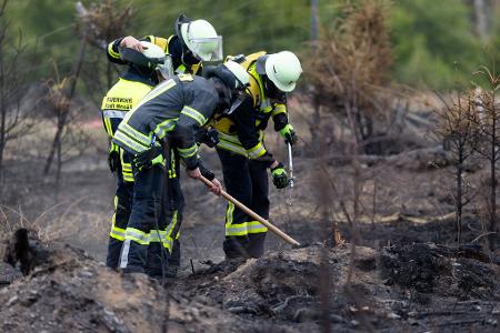 Versteckte Glutnester werden die Feuerwehrleute noch einige Tage nach dem Waldbrand auf der Saalfelder Höhe beschäftigen. Versteckte Glutnester werden die Feuerwehrleute noch einige Tage nach dem Waldbrand auf der Saalfelder Höhe beschäftigen.
