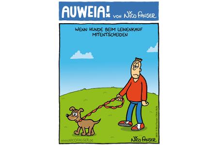 Alltäglicher Humor und Vögel