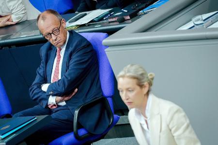 Merz und Weidel liefern sich einen heftigen Schlagabtausch. 