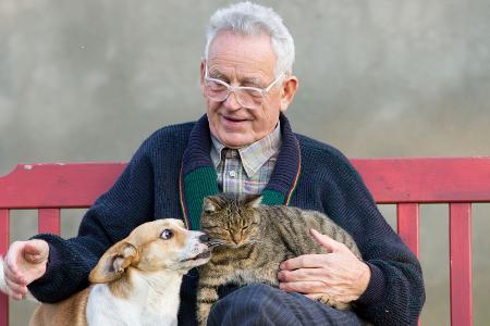 Hund und Katze Hund und Katze