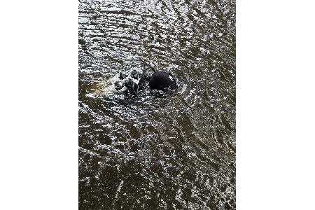 Taucher unter Wasser Taucher unter Wasser