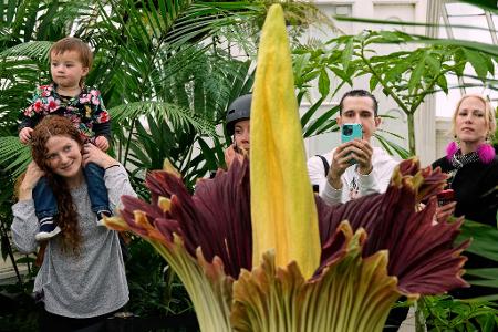 Die Bilder des Tages