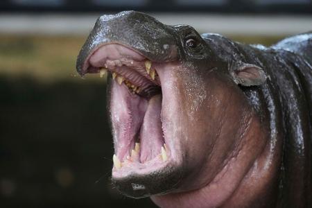 Die Bilder des Tages