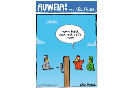 Alltäglicher Humor und Vögel